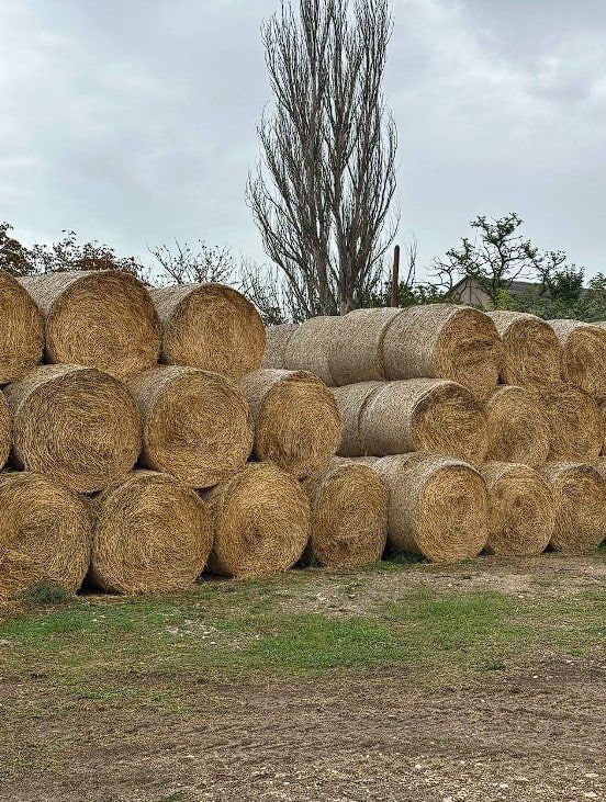 �������� ������� �������� ����� �������