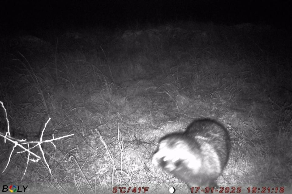 �� ���������� ����������� ��������� � ����������� ����� ����