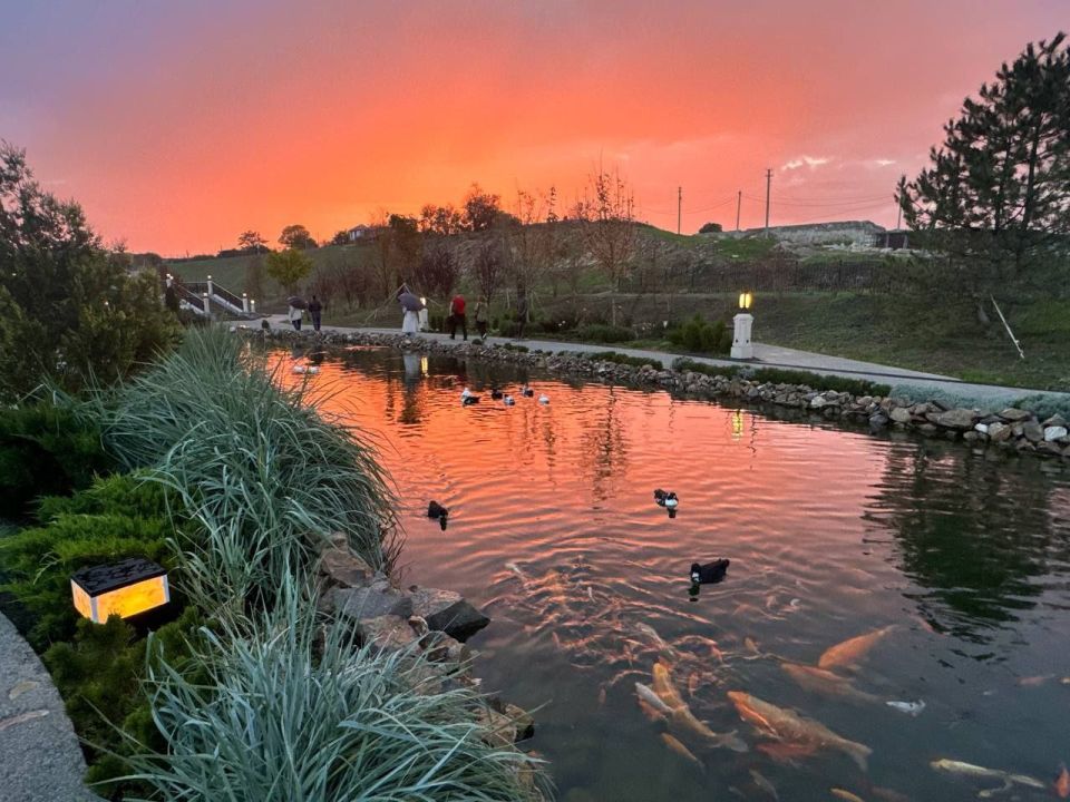 ����������� ������� ����� ����������� ��� ������������� ���� �������