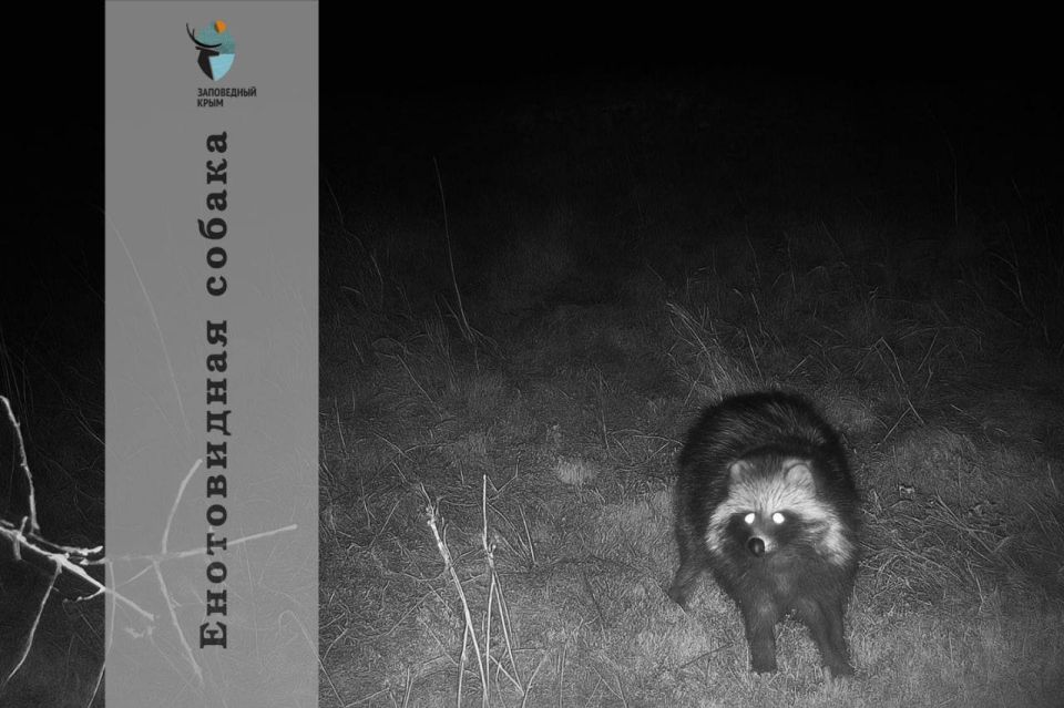 �� ���������� ����������� ��������� � ����������� ����� ����