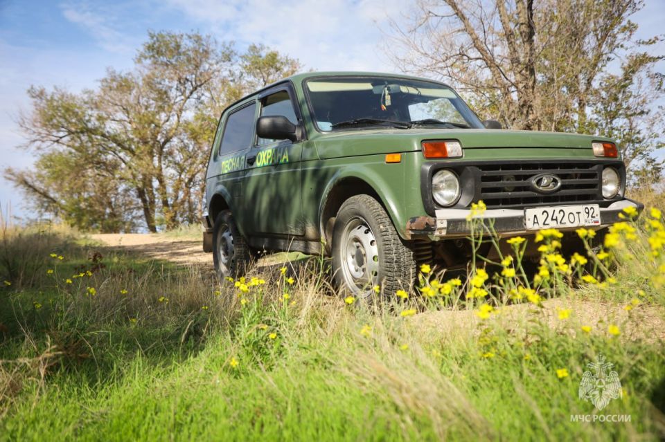 ����� � ������� ����� �������� ��������������� ���������� ��� ������ � �����������