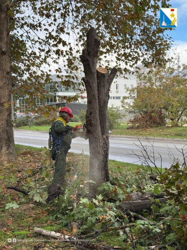 � ����� ������ ���������� ������� � ������� �������� �� ������� ����������� ������