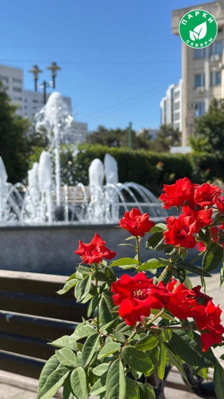 ������ � ������� ���������� ������� ��������� ���� ������ ��������������� ��������