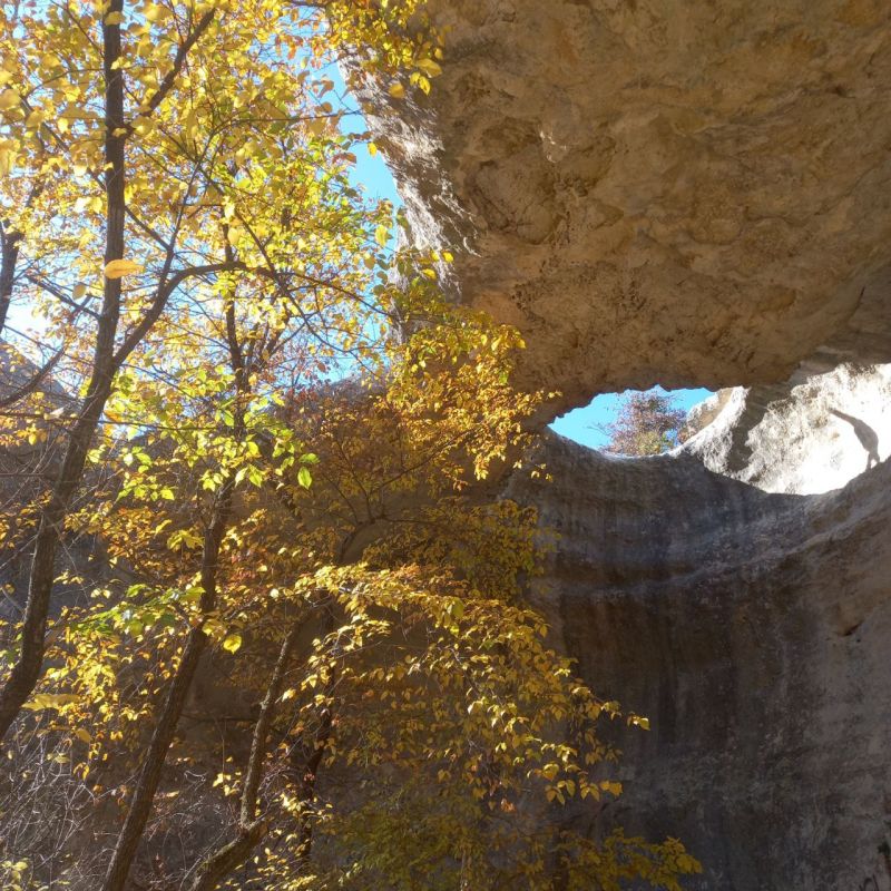 � ������ ������� �����, ������!