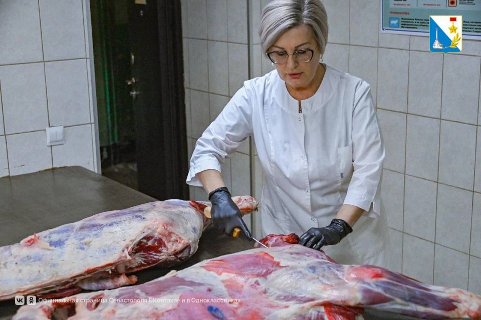 ��������� � ������������ ���������