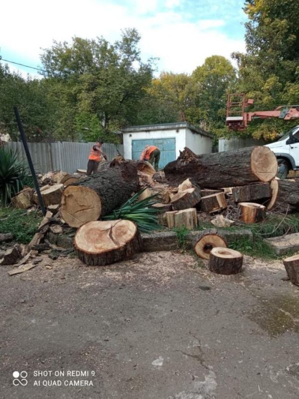 � ����������� ��� ����� ����� ���������� �������� ������� � ������������� ������ �����������