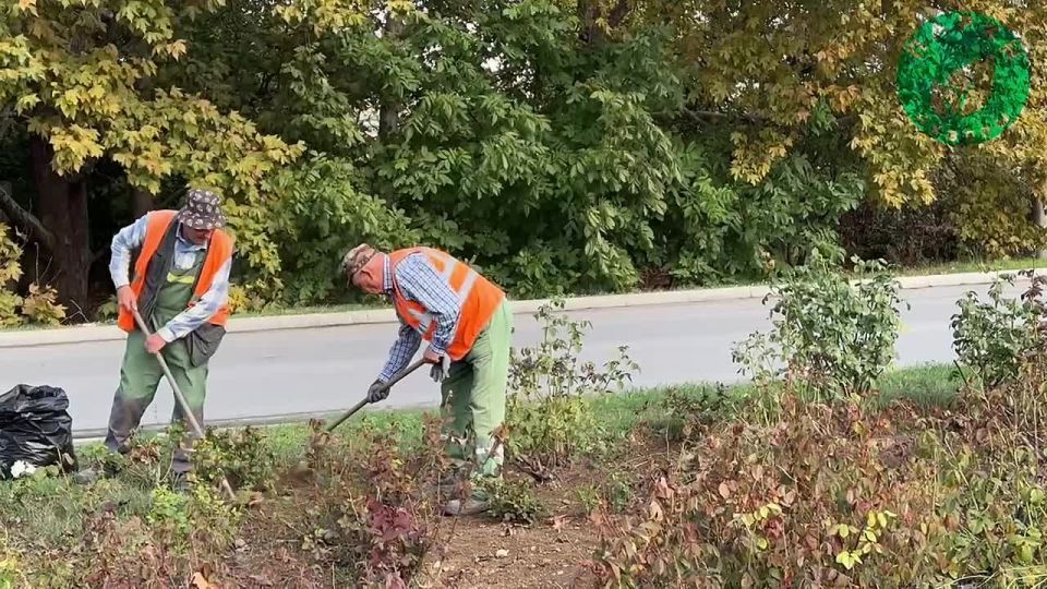 За клумбами Севастополя тщательно ухаживают специалисты «Парков и скверов»