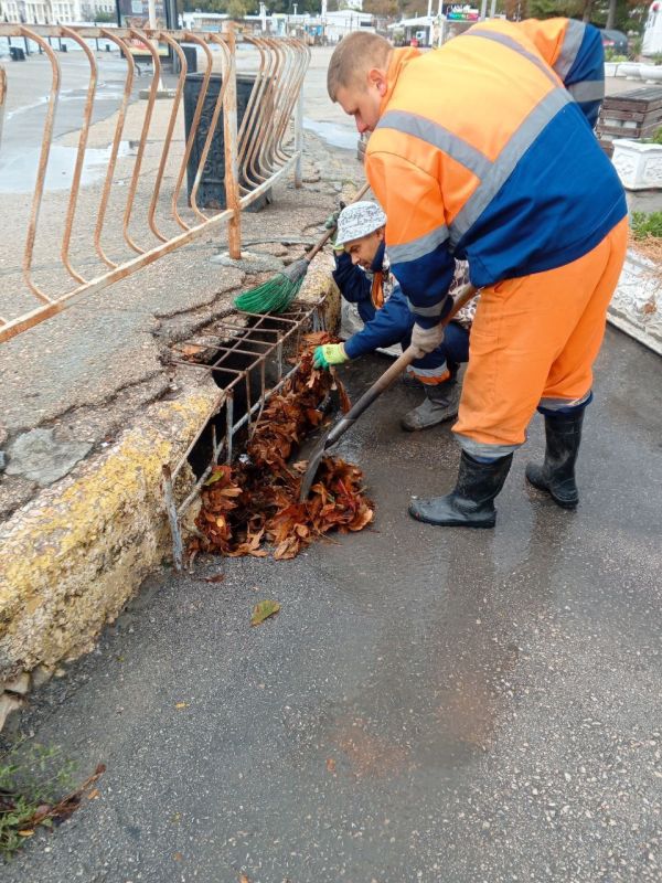 ���������: ���������� ������ ���� ������� ������