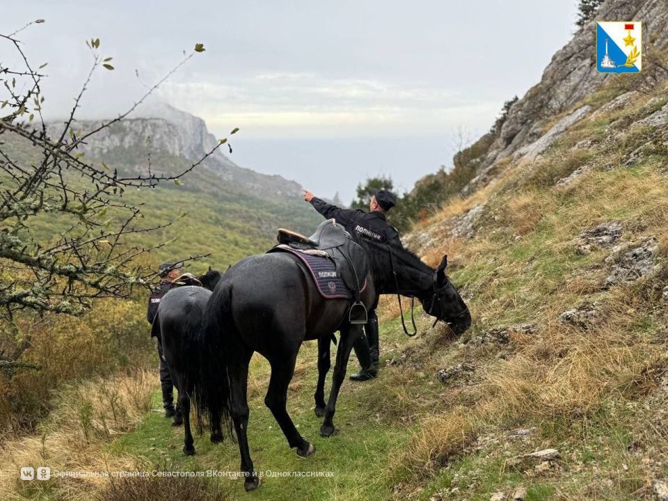 � ��������� ������ ��������� ��������������