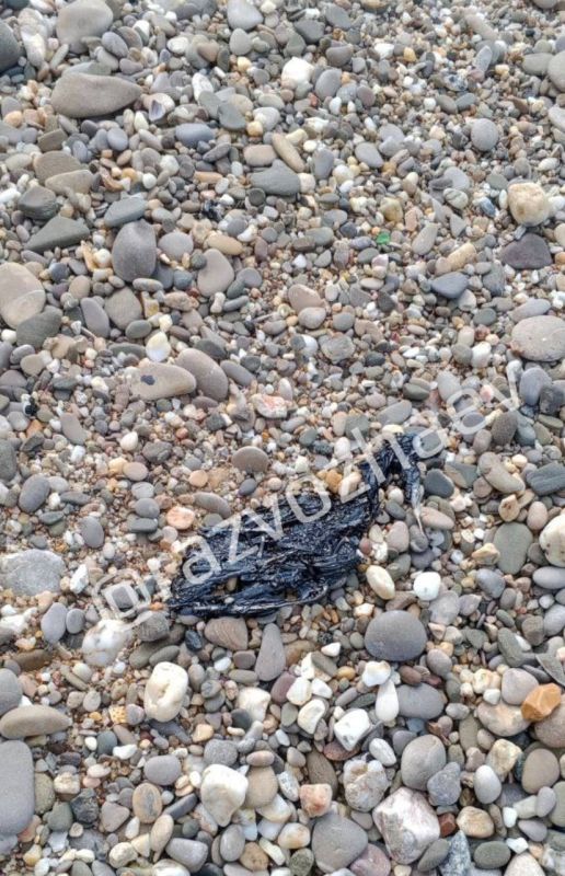 �� ���������� ������ �������� ������� ���������� �������� ����� ������ � ����������