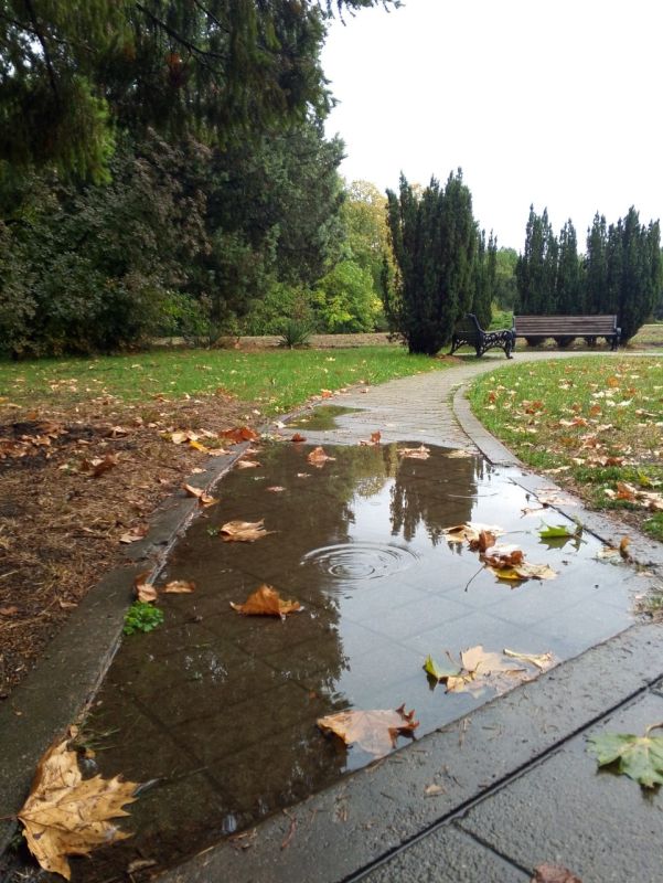 ������ ����, �����������!. 11 ������� � ����������� ��������� �����, ����� �� 15 ������ � �������