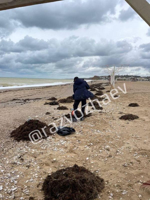 �� ���������� ������ �������� ������� ���������� �������� ����� ������ � ����������