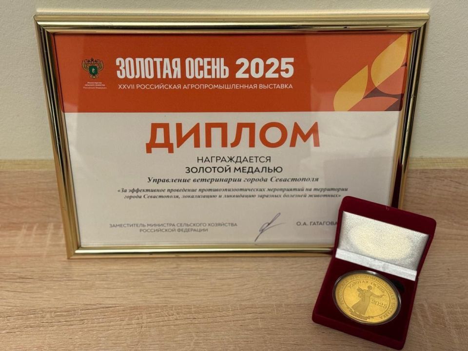 ��������������� ���������� ����������� ��������� ������� �� ���������������� ��������