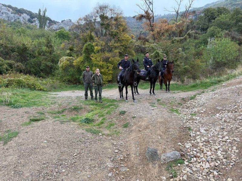 ������ ������� � ������� ������ ����������� � ��������� ������