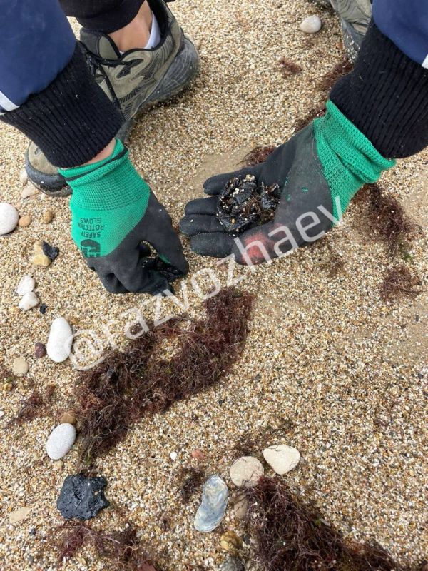 �� ���������� ������ �������� ������� ���������� �������� ����� ������ � ����������