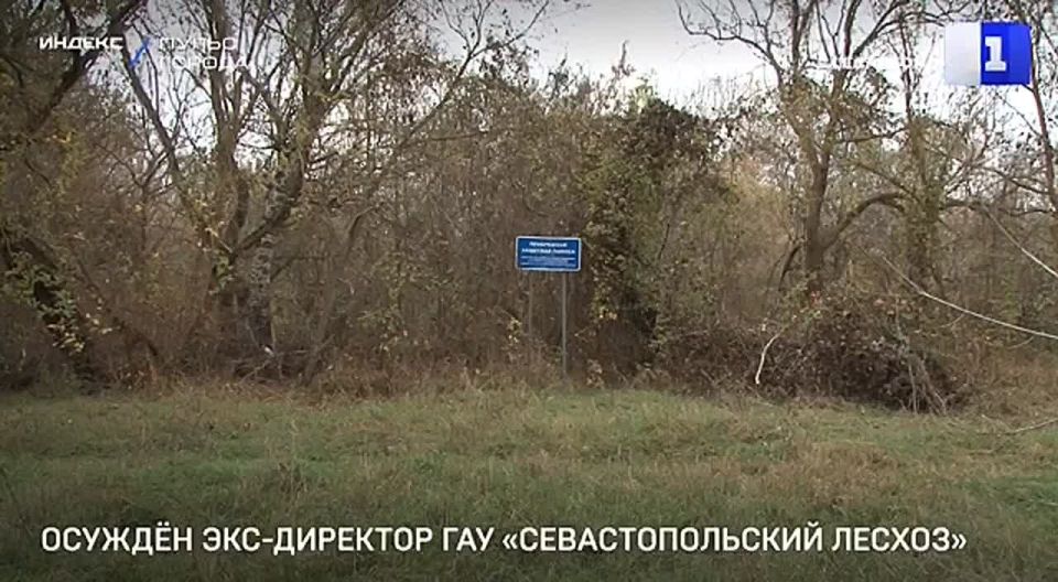 Экс-директор «Севастопольского лесхоза» Александр Плахтий оштрафован на 70 тыс