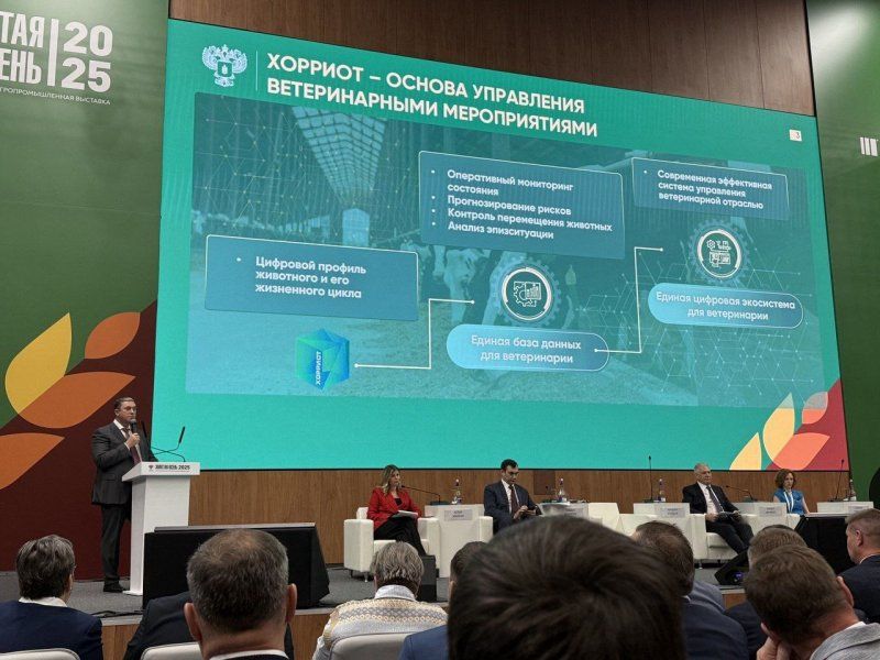 Михаил Развожаев: Севастопольское управление ветеринарии награждено золотой медалью на выставке «Золотая осень-2025» Михаил Развожаев: Севастопольское управление ветеринарии награждено золотой медалью на выставке «Золотая осень-2025»