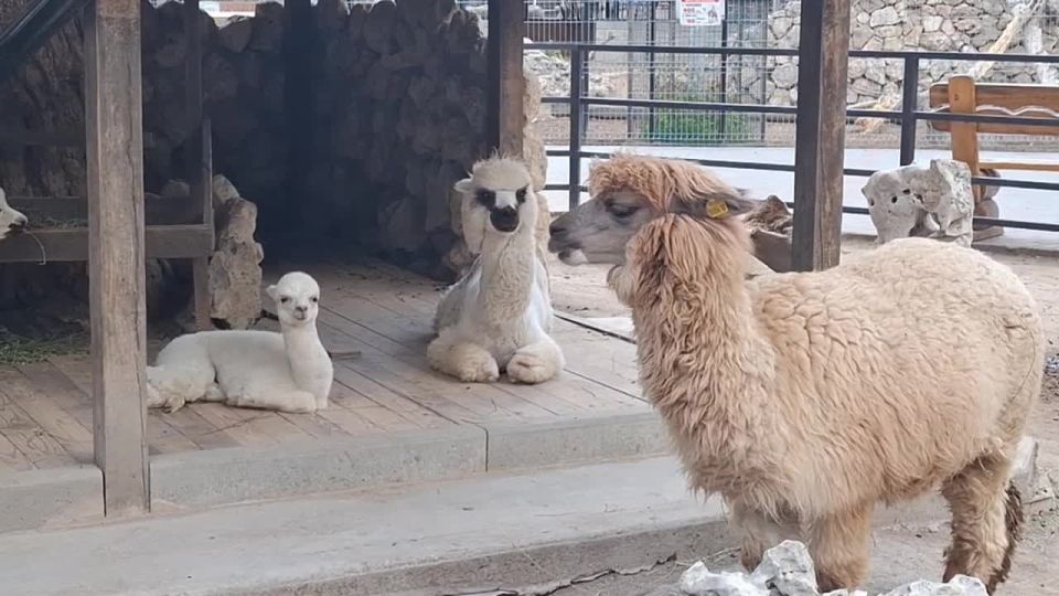 В Бахчисарайском парке миниатюр — пополнение!