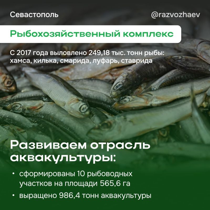 Михаил Развожаев: С праздником, наши труженики земли и моря! Михаил Развожаев: С праздником, наши труженики земли и моря!