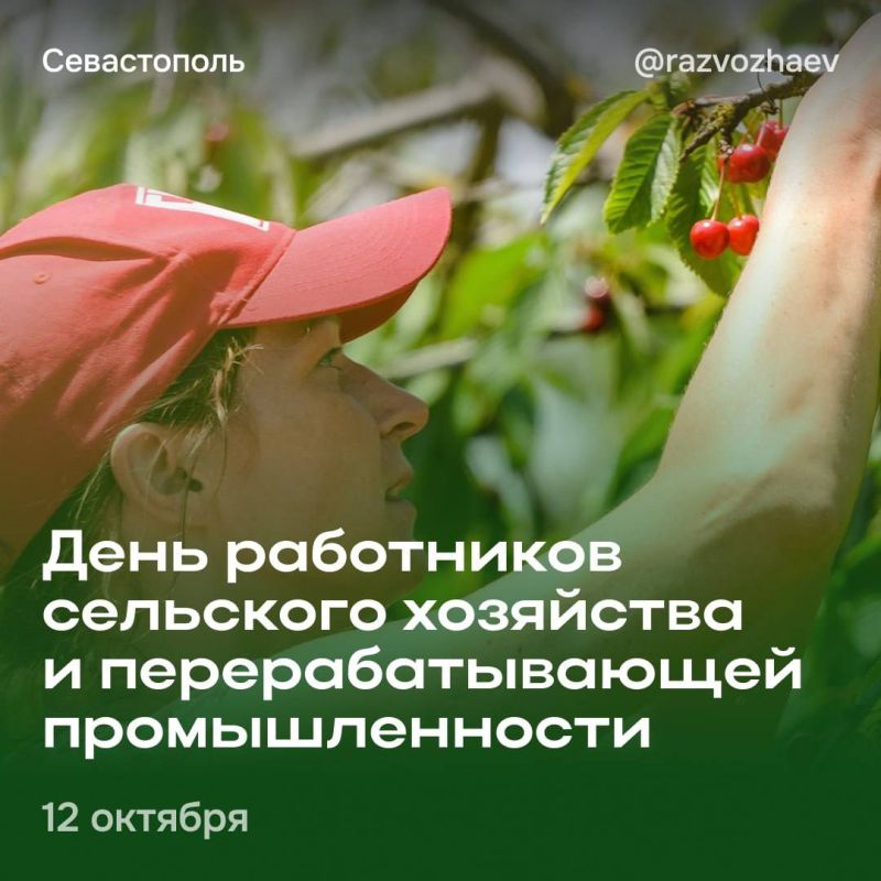 Губернатор Севастополя Михаил Развожаев поздравил работников сельского хозяйства и перерабатывающей промышленности