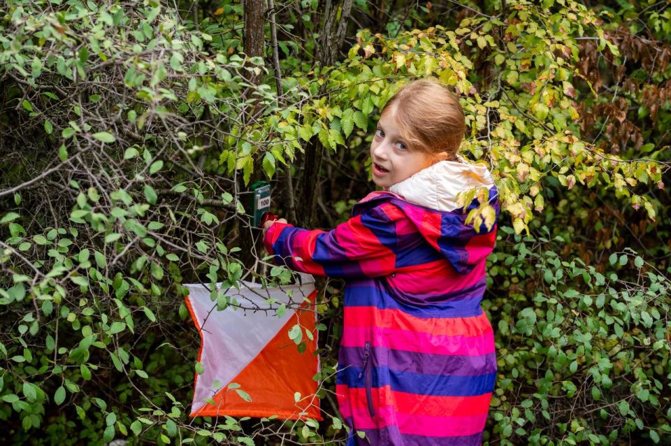 ����� ��-�����������. ����� �������, �����������, ������ � ��������� ������ ������������ ������������ �� ����������� �������������� �������� ������ �� �����-���� 179 ����������� �� 20 ������ ������� ����� ����� � ��������...