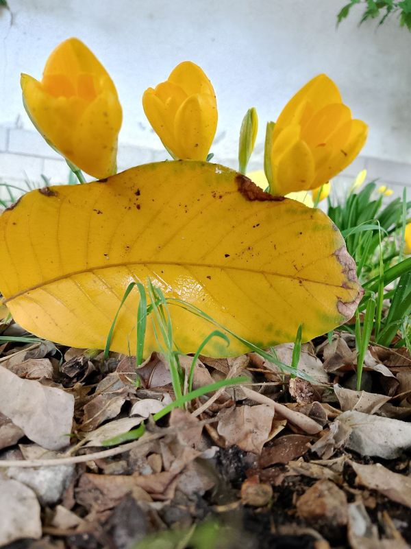 Всем доброго утра!. В воскресенье днем небольшой дождь