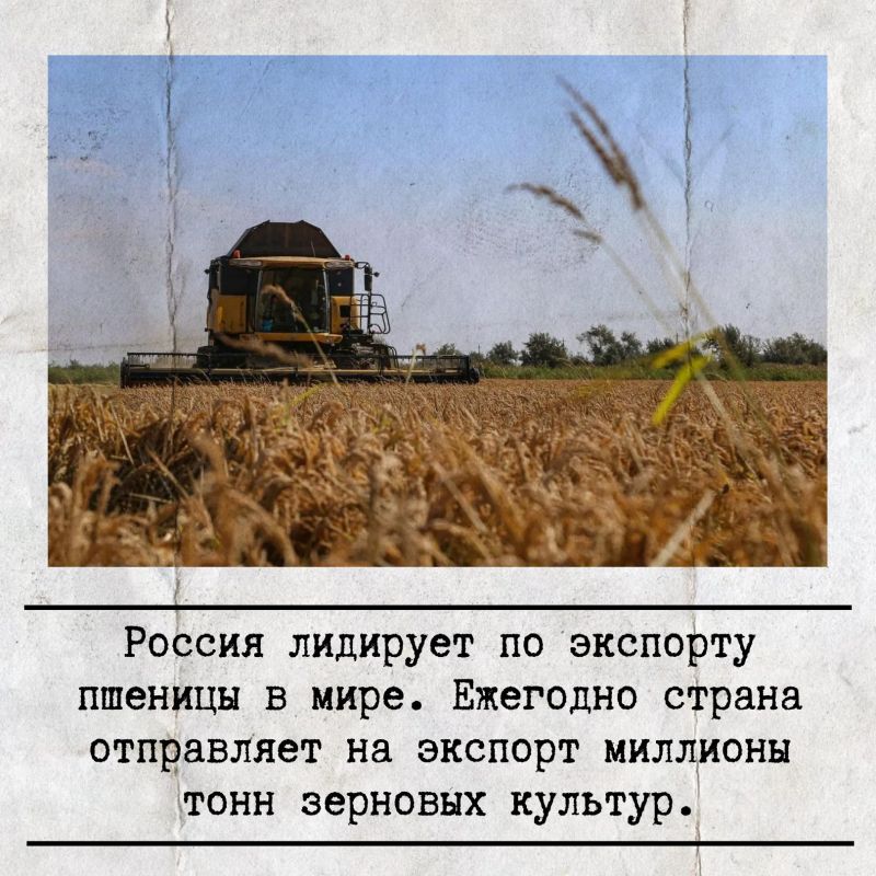 12 ������� � ���� ���������� ��������� ��������� � ���������������� ��������������