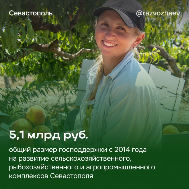 Михаил Развожаев: С праздником, наши труженики земли и моря! Михаил Развожаев: С праздником, наши труженики земли и моря!