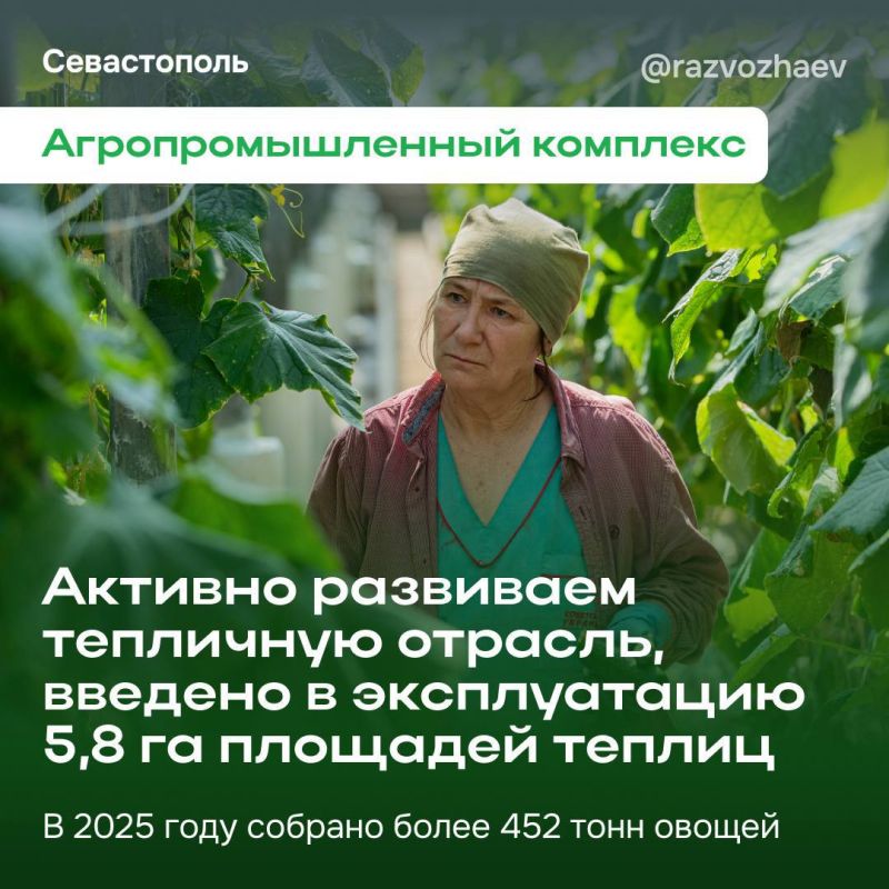 ���������� ����������� ������ ��������� ��������� ���������� ��������� ��������� � ���������������� ��������������