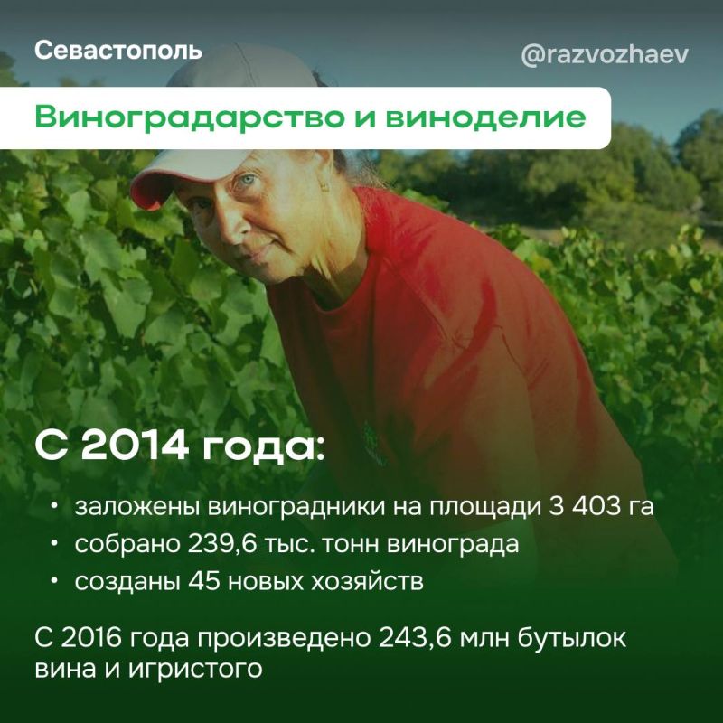 Михаил Развожаев: С праздником, наши труженики земли и моря! Михаил Развожаев: С праздником, наши труженики земли и моря!