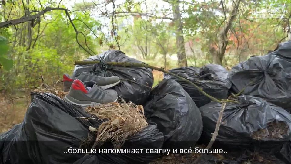 Сквер возле частной школы «Таврида» в Севастополе обрастает мусором: бутылками, окурками, мешками с отходами и костровищами
