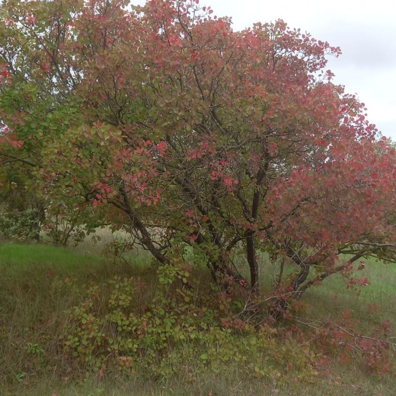 ������� ����!. � ����������� � ����������� ���� ��������� �����