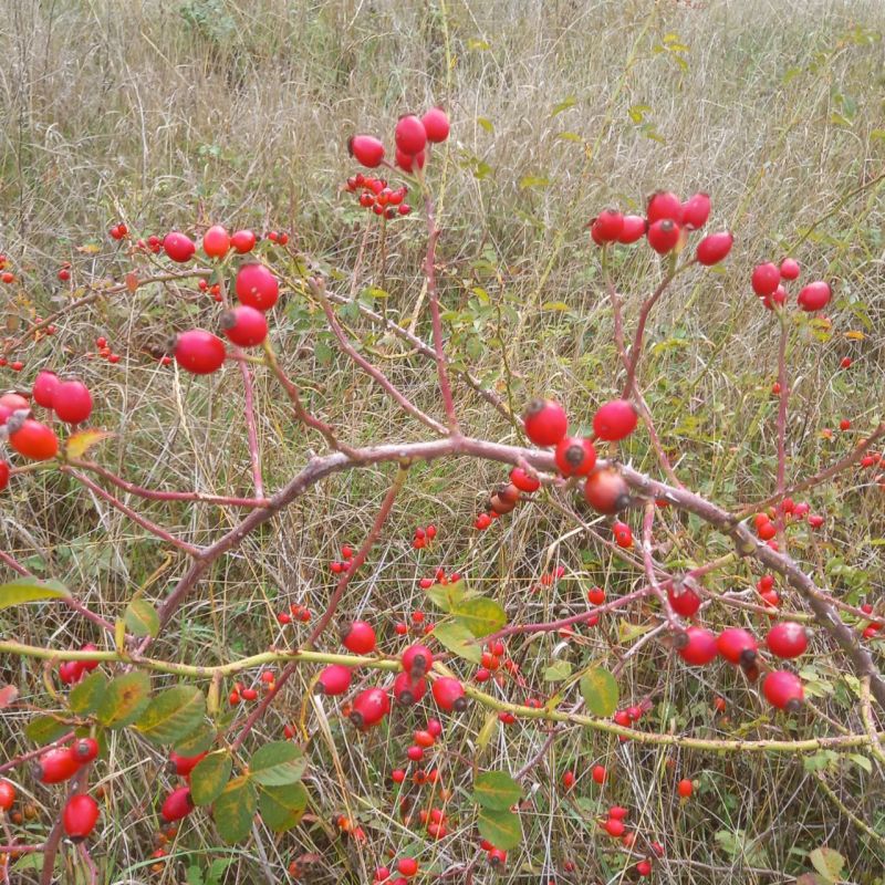 ������� ����!. � ����������� � ����������� ���� ��������� �����