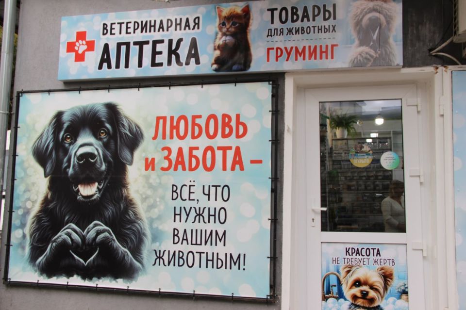 ���������� ����������� �������� ����������� � ������� �������� ������� � ������