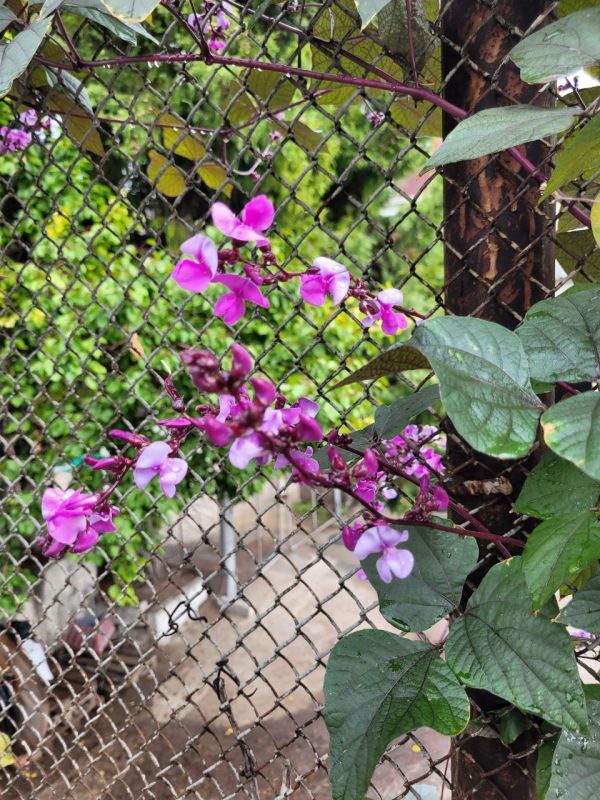 #��� �� ��������?. ��� �������������� ���������� ����� �������� ���������� �������� � ���������� ��������, ������� ���������� ������� ������ � ���������� ���������, ������� �������, ������ ����������� ������