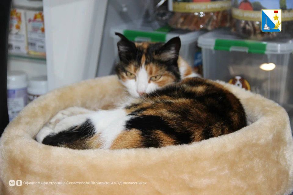 �������� ������� ������. ��������� ������������ � ������ ���������� ������� ����� ������ ������� ����������� �������� ������� � ������