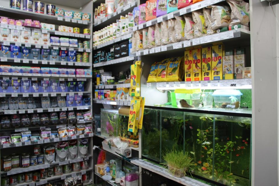 ���������� ����������� �������� ����������� � ������� �������� ������� � ������