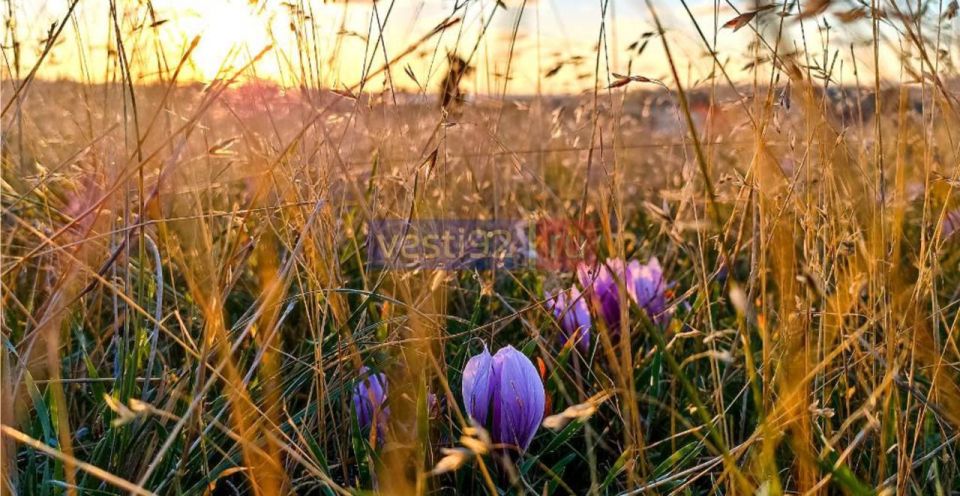 ������ ����, �����������!. ����� ����� ���� ���� ����