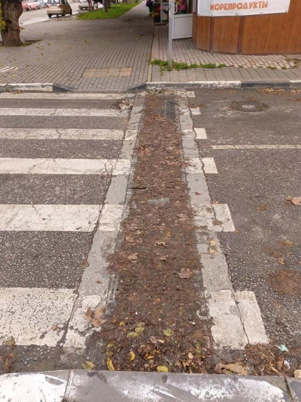 ���������: ������� ��������� ��������� �������� �������