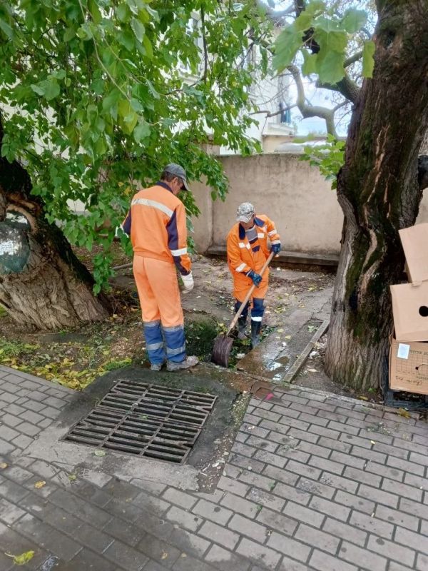 ���������: ������� ��������� ��������� �������� �������