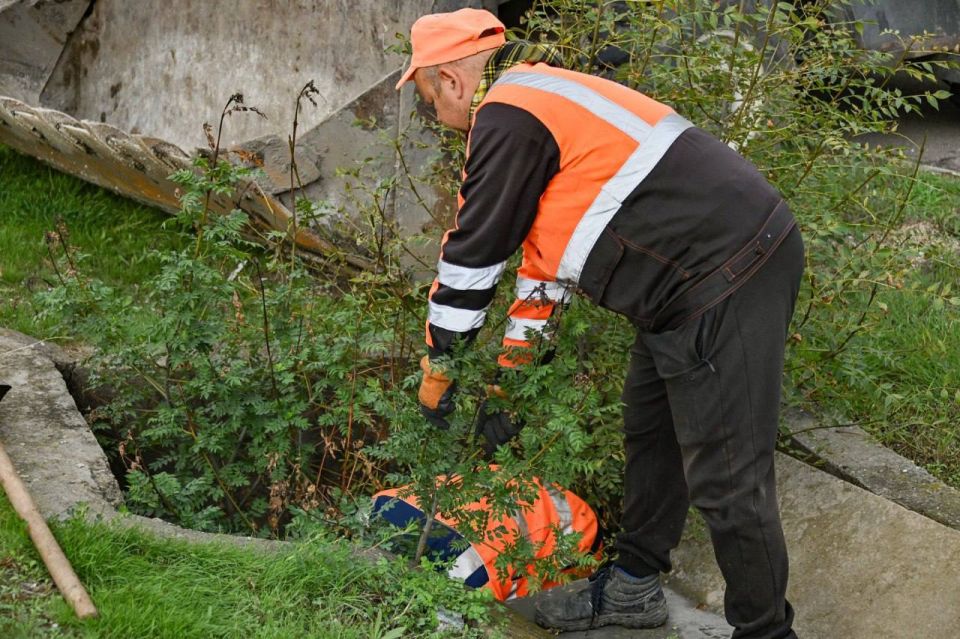 ��������������� ������� ������� �������� �� ����������� � ������