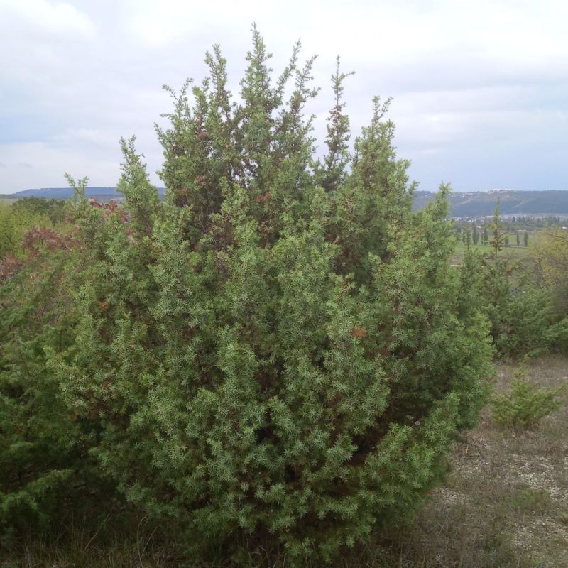 ������� ����!. � ����������� � ����������� ���� ��������� �����