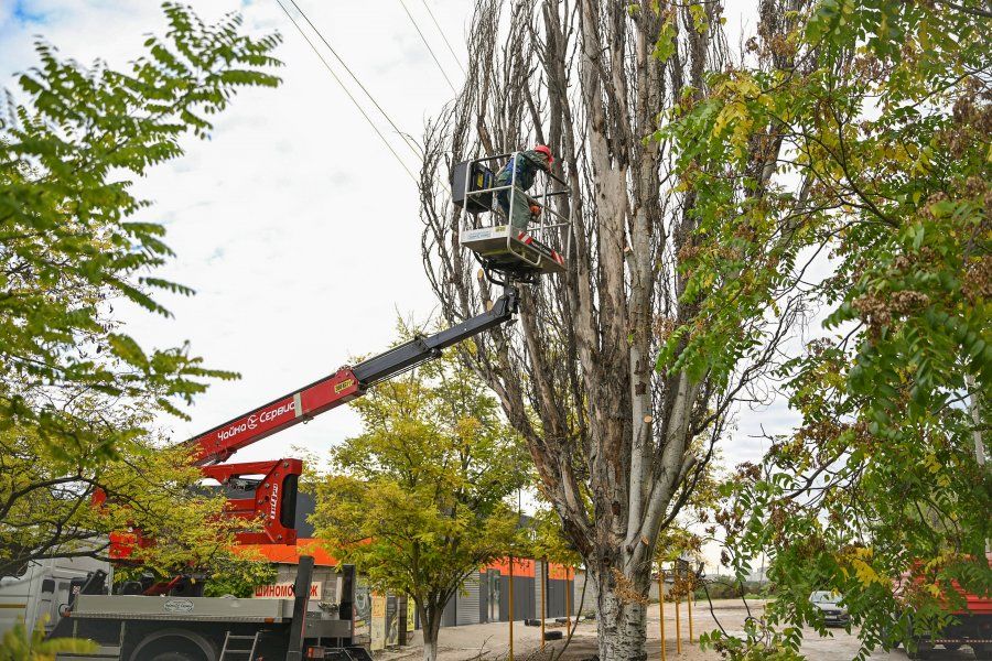 ������ � ������� �������� ��������� � �������� ������ � �����������