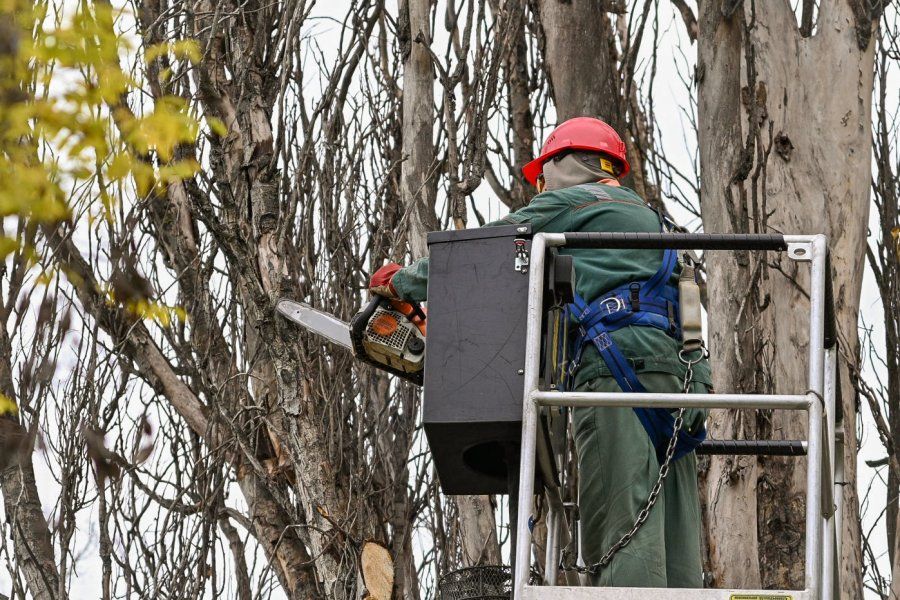 ������ � ������� �������� ��������� � �������� ������ � �����������