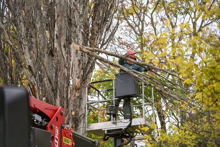 ����� � �����: ����������� ��������� � �������� � �����������