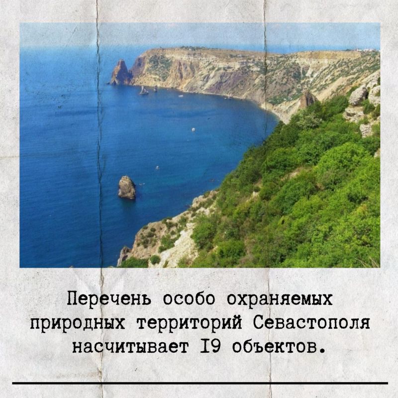 14 ������� � ������ ���������� ���� ���������� ����������� ����