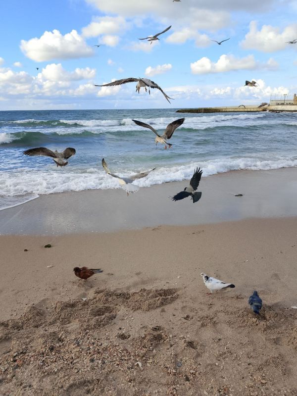 ���� ������� ����!. �� ������� � ����������� ���� ��� ������������ �������