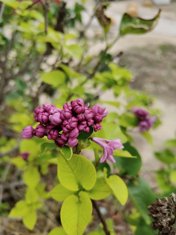 #��� �� ��������?. ���� ����������� ��������� ����������� ������� ��������� �������� ������ � �����, �������, ��������� ��� ���������