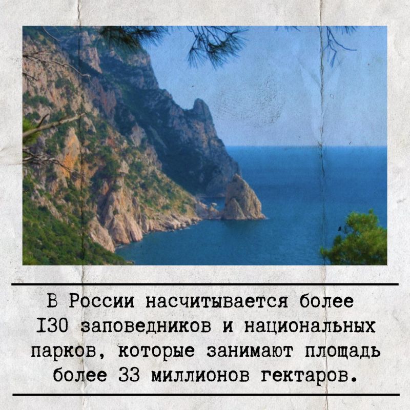 14 ������� � ������ ���������� ���� ���������� ����������� ����