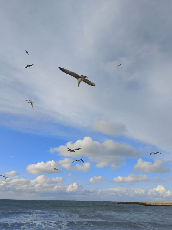 ���� ������� ����!. �� ������� � ����������� ���� ��� ������������ �������